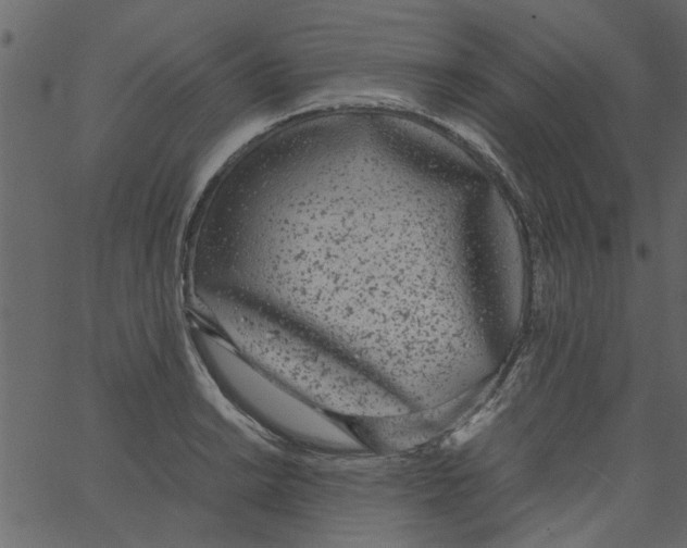 X0000062671038200601111239