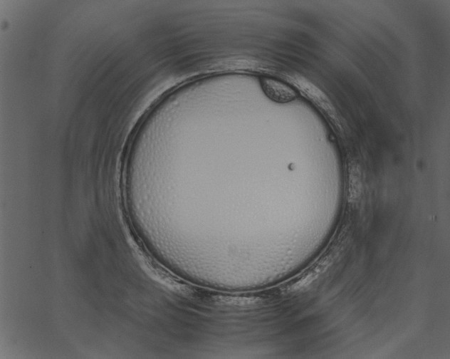 X0000062671039200601111239