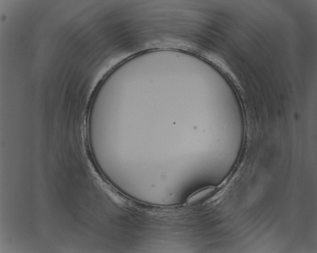 X0000062671040200601111239