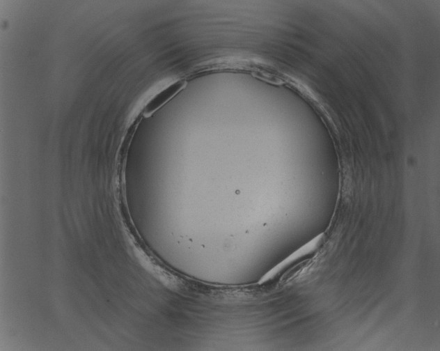 X0000062671042200601111239