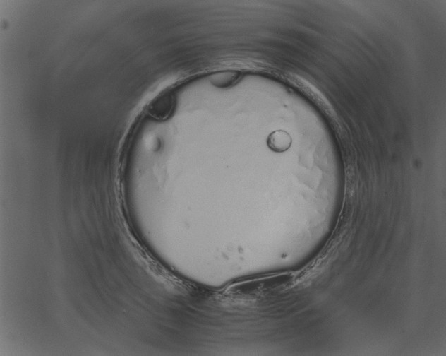 X0000062671043200601111239