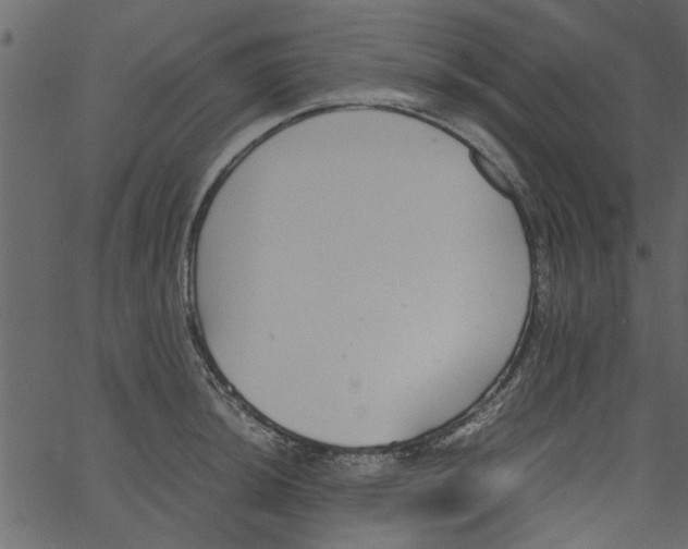 X0000062671044200601111239