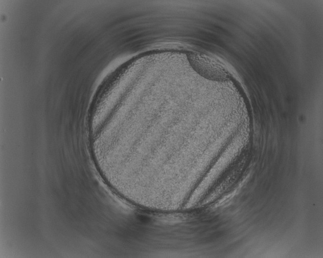 X0000062671045200601111239