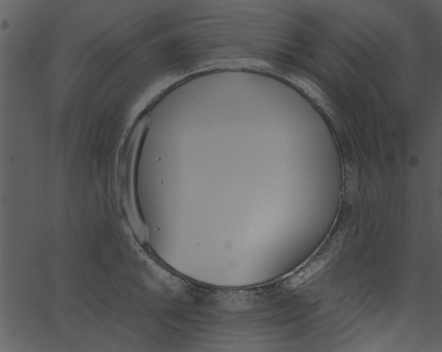 X0000062671046200601111239