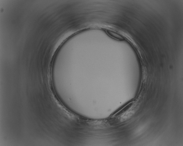 X0000062671048200601111239