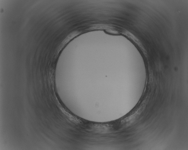 X0000062671049200601111239