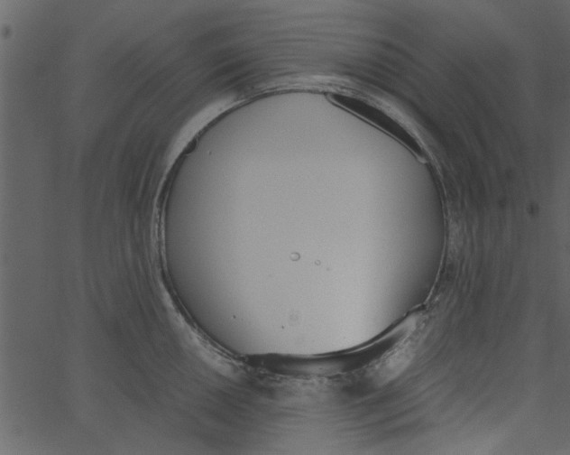 X0000062671050200601111239