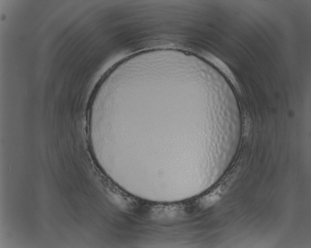 X0000062671051200601111239