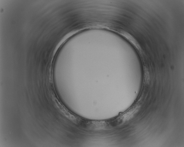 X0000062671052200601111239