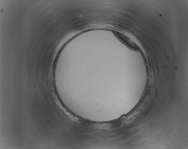 X0000062671053200601111239