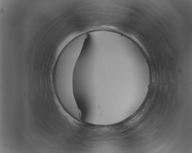 X0000062671054200601111239