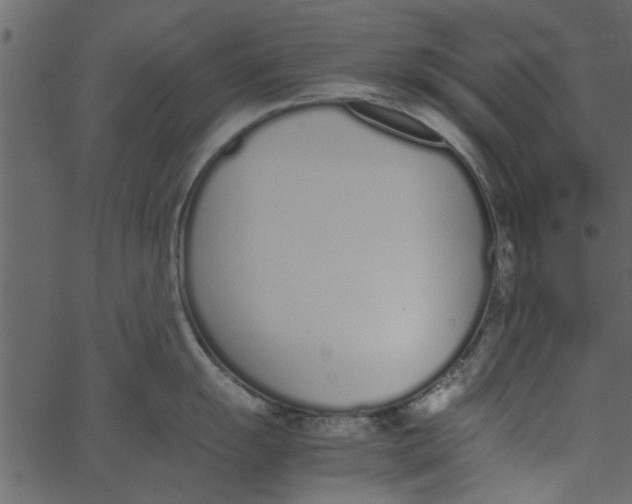 X0000062671055200601111239