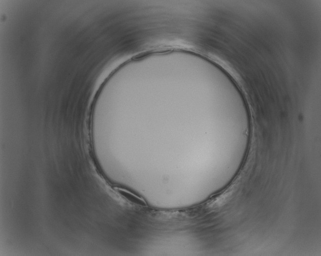 X0000062671056200601111239