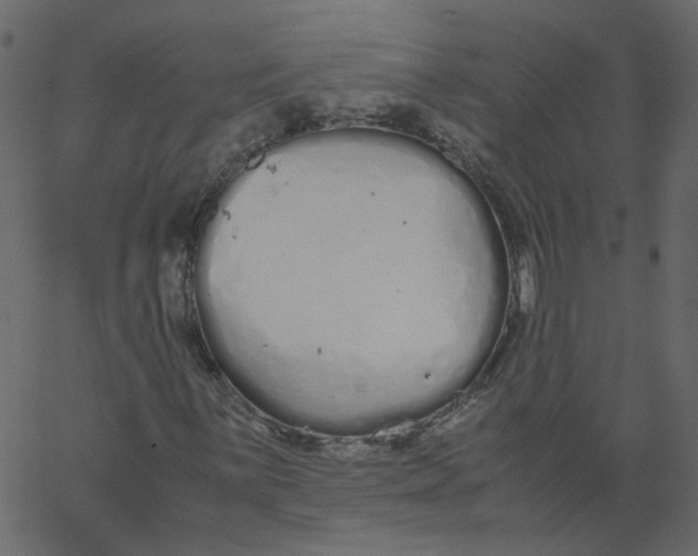 X0000062671059200601111238