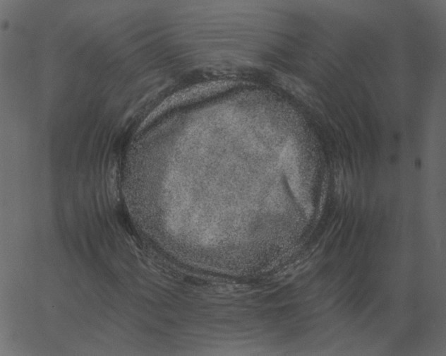 X0000062671060200601111238