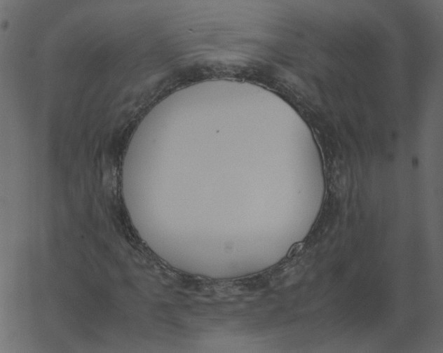 X0000062671061200601111238