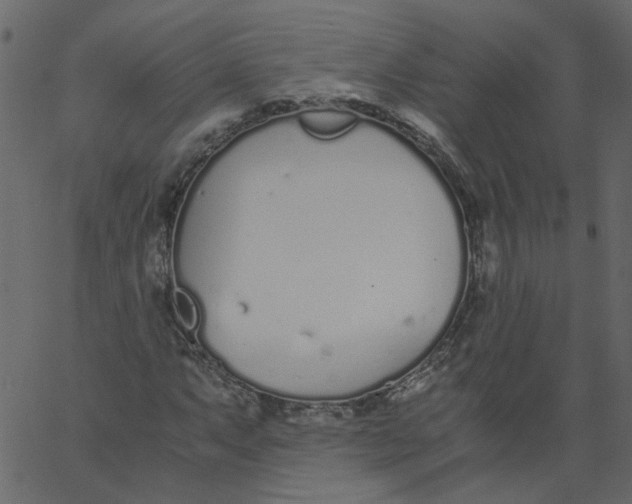 X0000062671063200601111238