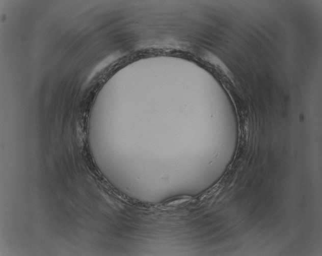 X0000062671064200601111238