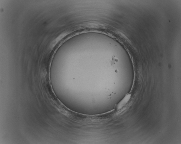 X0000062671065200601111238