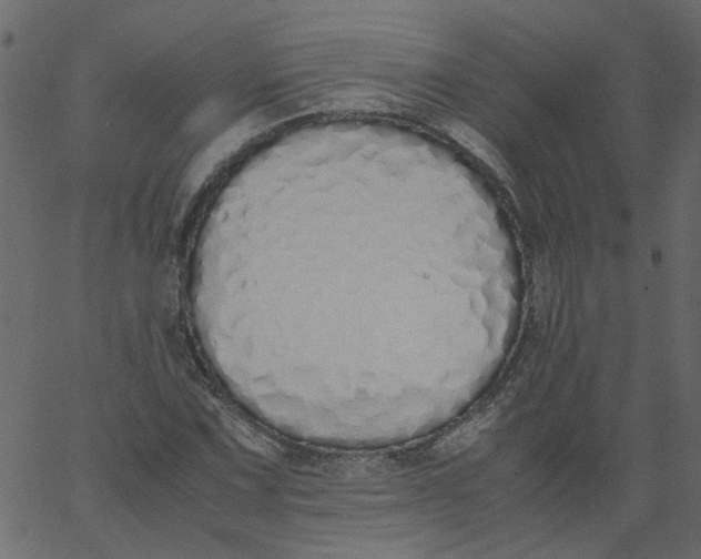 X0000062671067200601111238