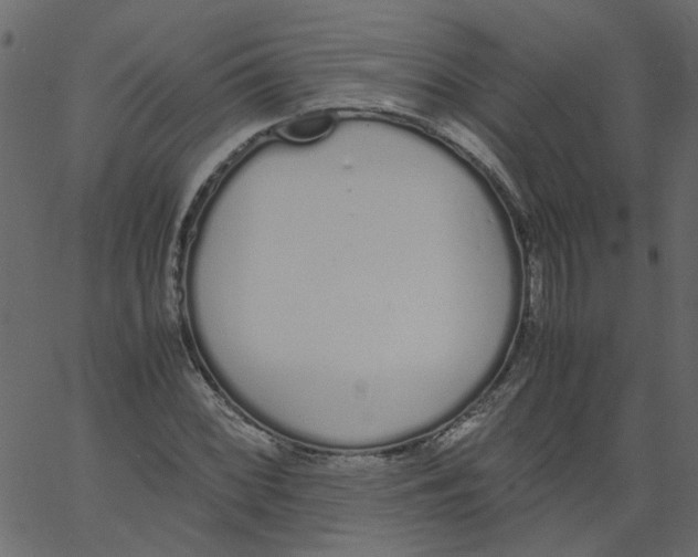 X0000062671068200601111238