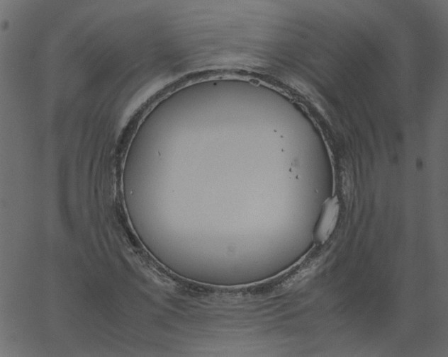 X0000062671069200601111238