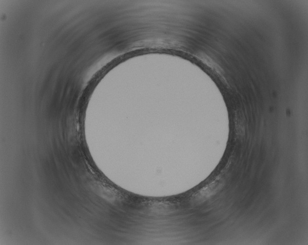 X0000062671070200601111238