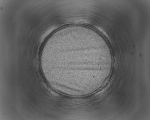 X0000062671071200601111238