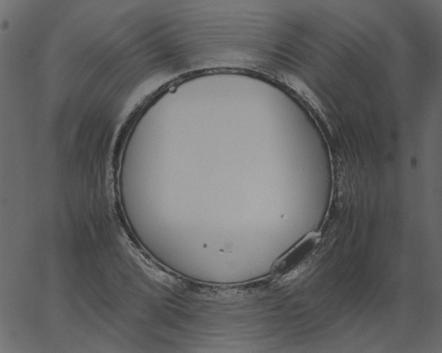 X0000062671072200601111238