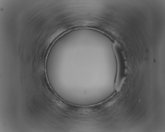 X0000062671073200601111238