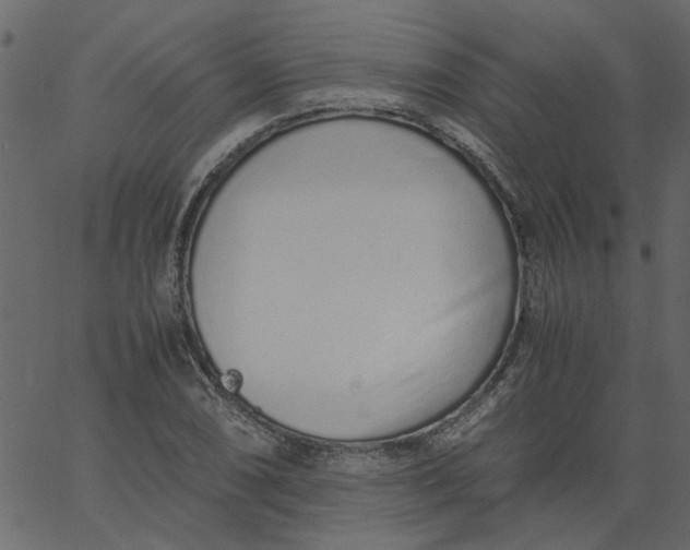 X0000062671074200601111238