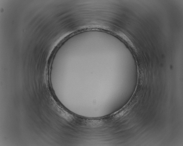 X0000062671076200601111238