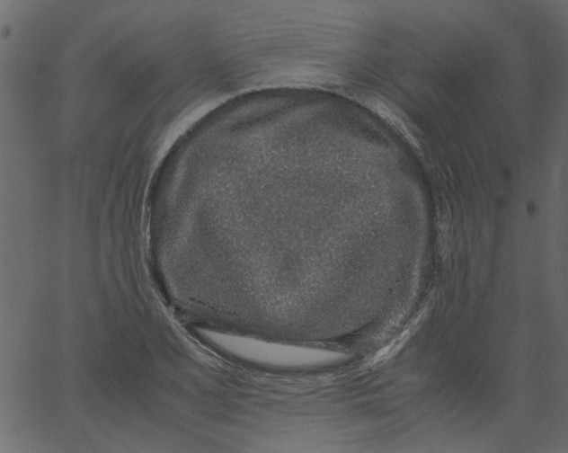 X0000062671077200601111238