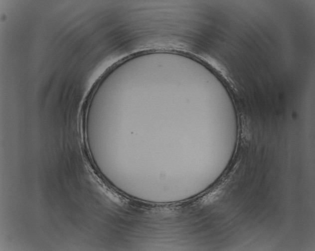 X0000062671078200601111238