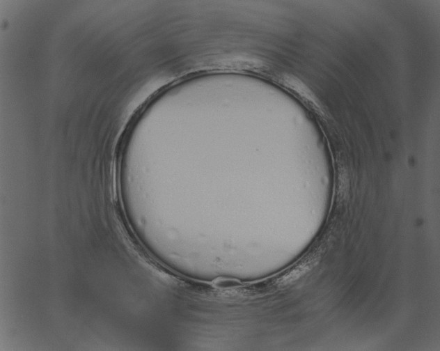 X0000062671079200601111238