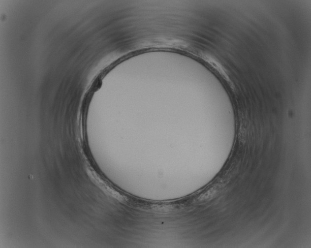 X0000062671080200601111238