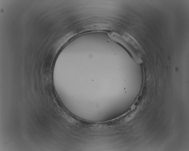 X0000062671081200601111238