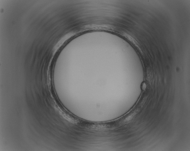 X0000062671082200601111238