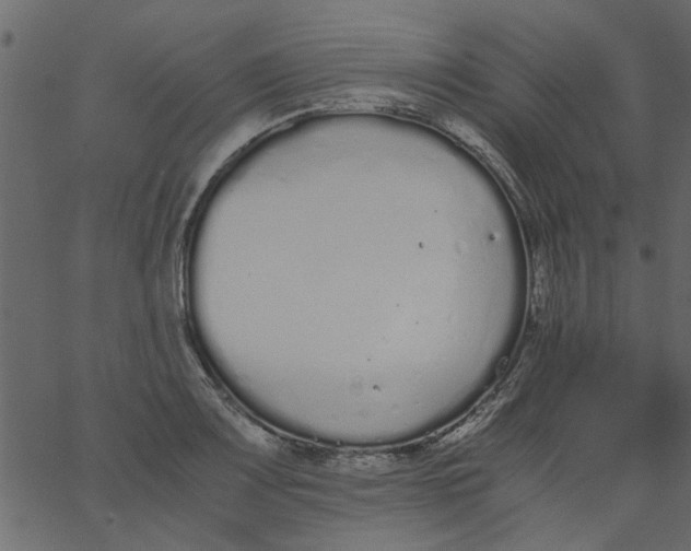 X0000062671083200601111238