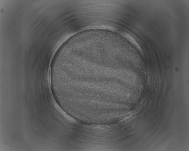 X0000062671084200601111238