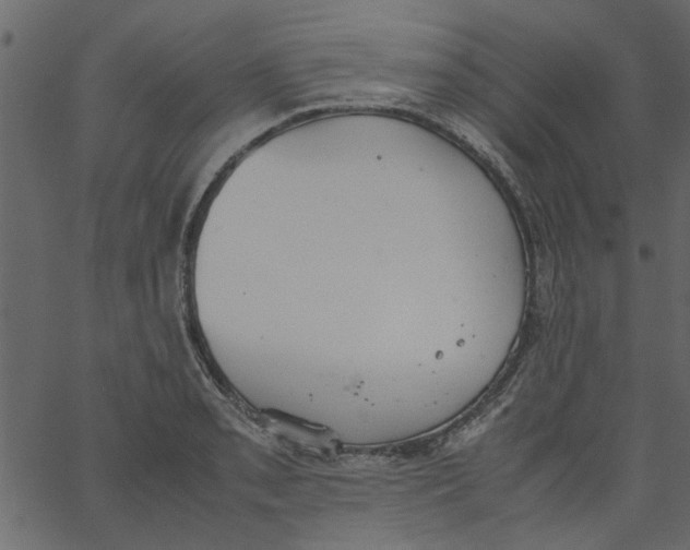 X0000062671085200601111238