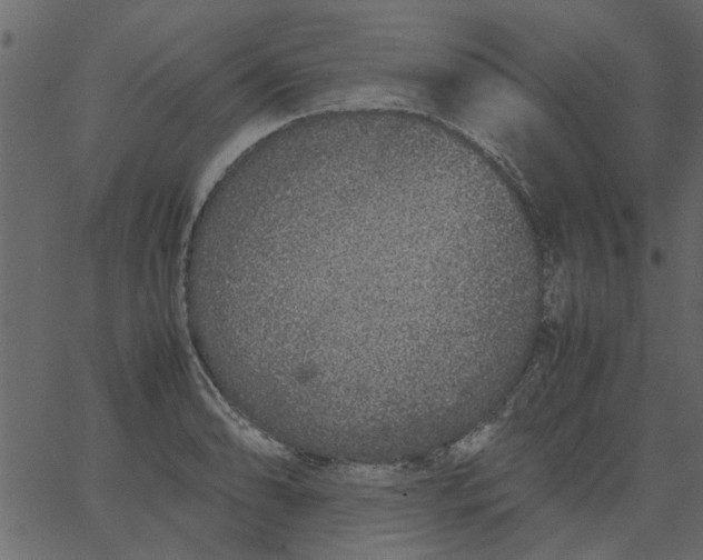 X0000062671086200601111238