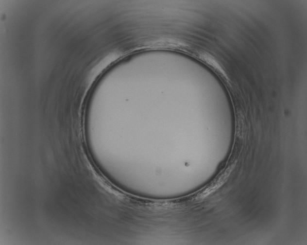 X0000062671087200601111238