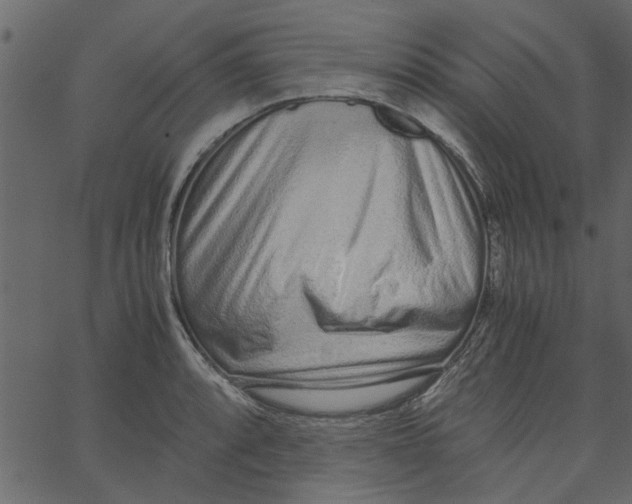 X0000062671088200601111238