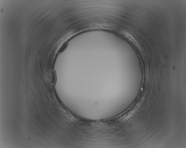 X0000062671089200601111238