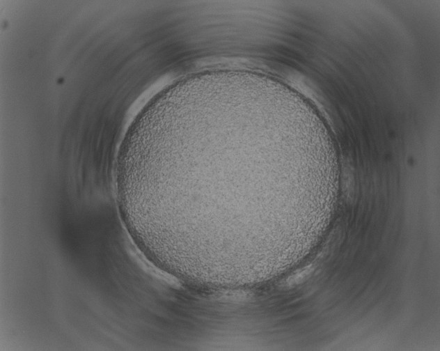 X0000062671090200601111238