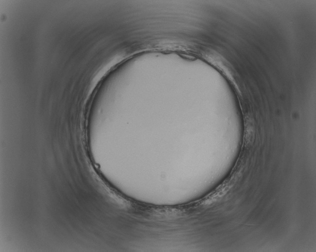 X0000062671091200601111238