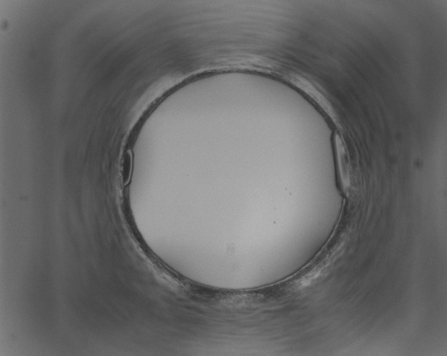 X0000062671093200601111238