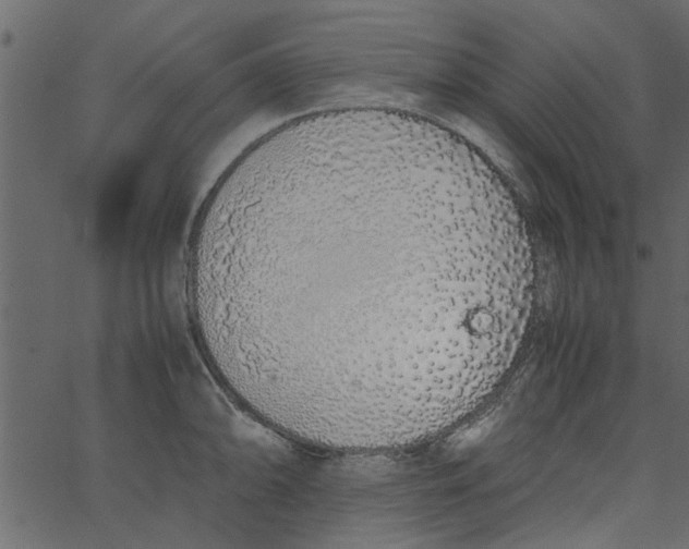 X0000062671094200601111238