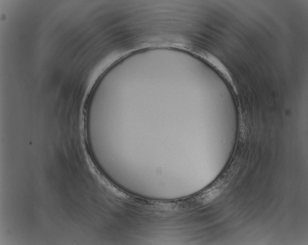 X0000062671096200601111237